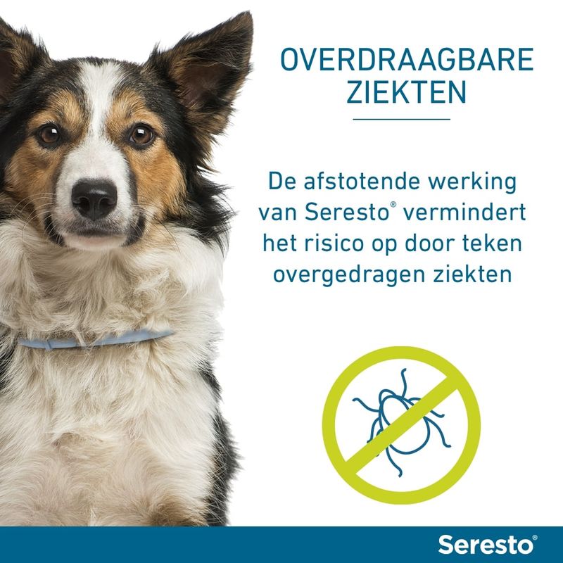 Seresto vlooien- en tekenband voor Grote honden (> 8 kg)