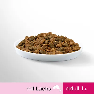 Kuivaruokaa valkoisessa kulhossa, alareunassa teksti: mit Lachs, adult 1+ (saksa).