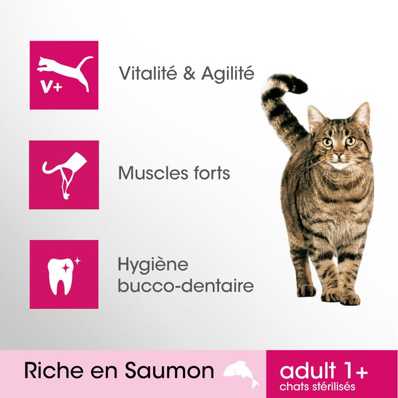 Perfect Fit Adult 1+ Riche en saumon