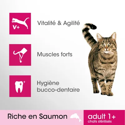 Vitalité & Agilité, Muscles forts, Hygiène bucco-dentaire, Riche en Saumon, adult 1+ chats stérilisés. Chat tigré debout à droite.