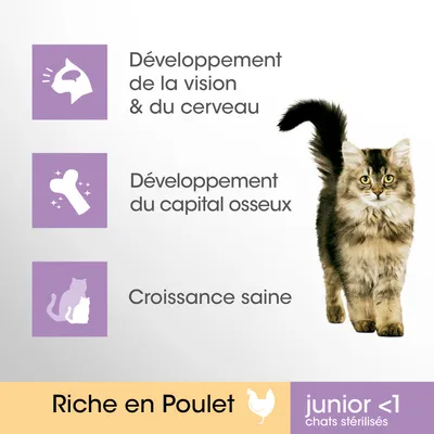 Développement de la vision et du cerveau, développement du capital osseux, croissance saine. Riche en Poulet. junior <1 chats stérilisés.