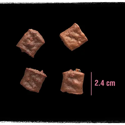 Cztery kwadratowe kawałki karmy lub przysmaku, każdy o boku 2,4 cm, widoczne na czarnym tle. Obok miarka z napisem „2.4 cm”.