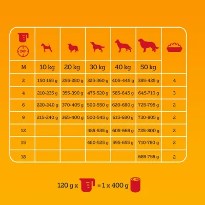 Feeding guide table for dogs by weight: 10–50 kg, daily portions 150–805 g depending on weight and meals. Conversion: 120 g dry food equals 1 x 400 g can. Icons for dog sizes and bowls.