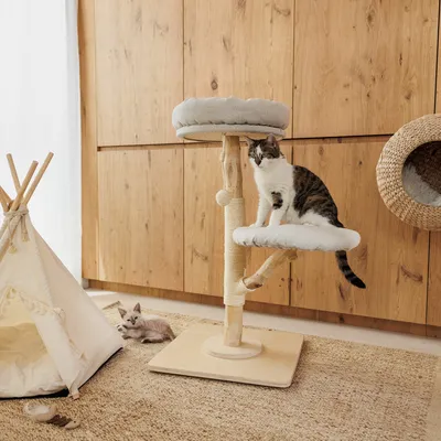 Rascador de madera con dos superficies acolchadas, poste rascador de sisal y pelota de juego. Un gato está en la plataforma inferior, otro junto a una tienda tipi.