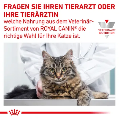 Fragen Sie Ihren Tierarzt oder Ihre Tierärztin, welche Nahrung aus dem Veterinär-Sortiment von Royal Canin die richtige Wahl für Ihre Katze ist.