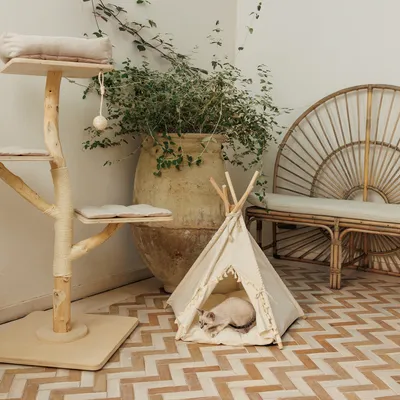 Kratzbaum aus Holz mit drei gepolsterten Ebenen und Spielzeug, daneben ein cremefarbenes Tipi-Zelt mit Katze darin. Dekorative Umgebung mit Pflanzen und Rattanmöbeln.