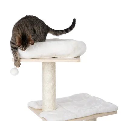 Cat tree with two levels, white padded. Cat playing with hanging ball on the top platform.