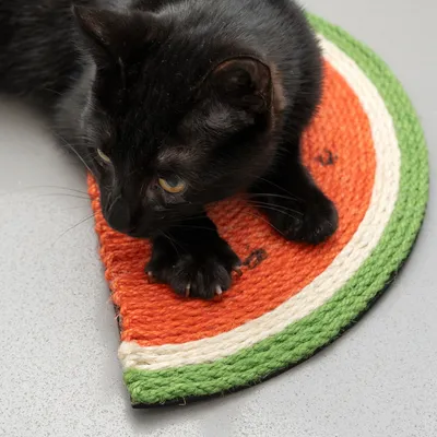 Gato negro tumbado sobre un juguete rascador en forma de media sandía de cuerda trenzada con zonas verdes, blancas y naranjas.