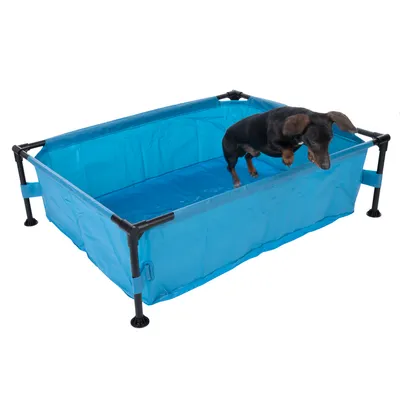 Rektangulær blå foldbar pool med sorte plastikben, lille sort/brun hund står inde i poolen. Materiale: stof og plastik. Ingen synlige mærker eller tekst.