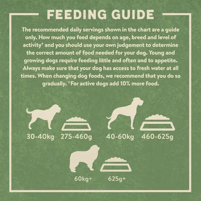 Feeding guide showing daily portions: 30-40kg dogs, 275-460g; 40-60kg dogs, 460-625g; 60kg+, 625g+. For active dogs add 10% more food. Ensure access to fresh water at all times.