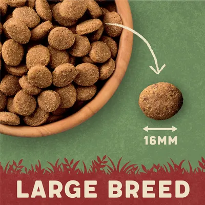 Kibble size shown as 16mm diameter, with text indicating suitable for large breed.