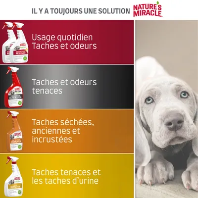 Nature's Miracle. Usage quotidien taches et odeurs, taches et odeurs tenaces, taches séchées anciennes et incrustées, taches tenaces et les taches d’urine.