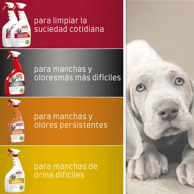 Cuatro productos Nature's Miracle: para limpiar la suciedad cotidiana, para manchas y olores más difíciles, para manchas y olores persistentes, para manchas de orina difíciles.