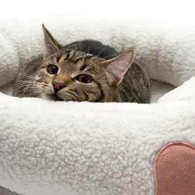 Brown tabby cat lying in a white, fluffy pet bed with a pink heart accent.