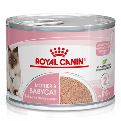 Royal Canin Mother & Babycat, 1–4 months, Ultra Soft Mousse, no preservatives, Stage 2, can with cat image. Royal Canin Mother & Babycat, 1–4 months, Ultra Soft Mousse, no preservatives, Stage 2, can with cat image.