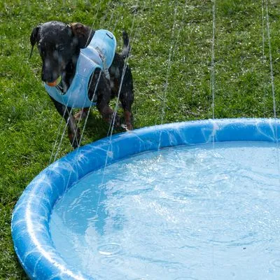 TIAKI Splash Piscină câini