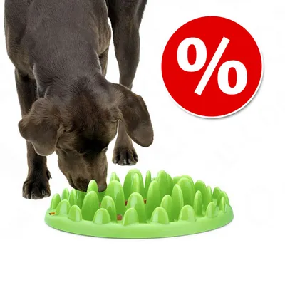 Perro olfateando un comedero interactivo verde con relieves. Símbolo de porcentaje en círculo rojo indicando oferta o descuento.