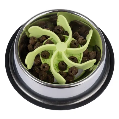 Stainless steel food bowl with green insert to slow down eating, filled with brown kibbles.