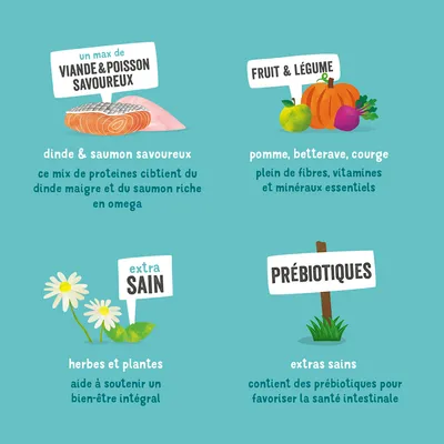 Illustration avec ingrédients : dinde et saumon, pomme, betterave rouge, potiron, herbes et plantes, ainsi que prébiotiques. Descriptions soulignant protéines, fibres, vitamines et santé intestinale.