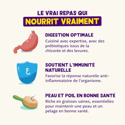 Avantages du produit : digestion optimale grâce aux prébiotiques, soutien de l’immunité naturelle, peau et pelage sains grâce aux acides gras essentiels.