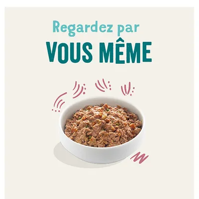 Bol avec de la nourriture humide, entouré d'accents graphiques. Texte : « Regardez par VOUS MÊME ».