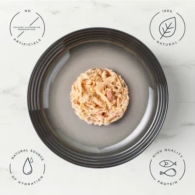 Encore Cat Broth Pouch 16 x 70g