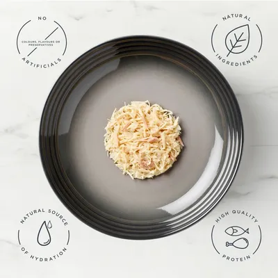 Encore Cat Jelly Pouch Multipack 20 x 50g