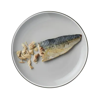 Grå tallrik med en bit makrill och små fiskbitar, lämplig för att visa ingredienser eller foderinnehåll.