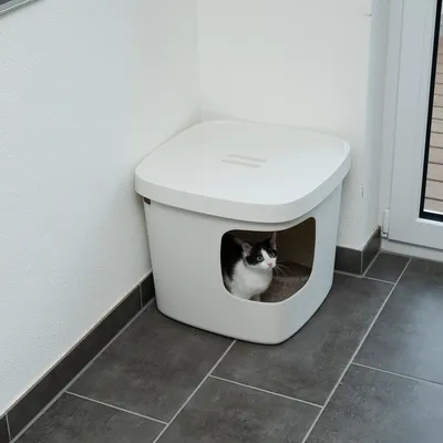 Weisse Katzentoilette mit quadratischer Öffnung, Katze sitzt innen. Geeignet für diskrete Platzierung in Ecken.