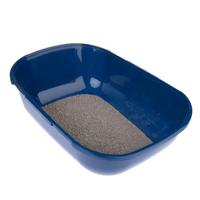 Blaue Katzentoilette mit grauem Katzenstreu, rechteckige Form und abgerundete Ecken.
