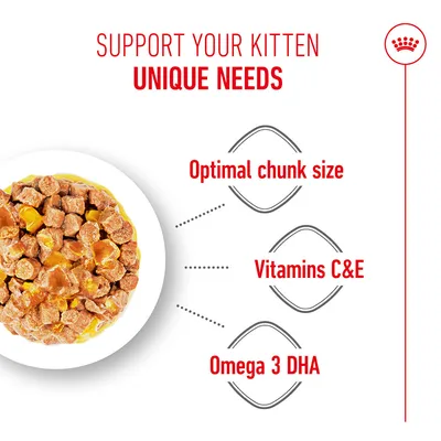 Support your kitten's unique needs. Optimal chunk size, Vitamins C & E, Omega-3 DHA. Image of wet food pieces on a plate.