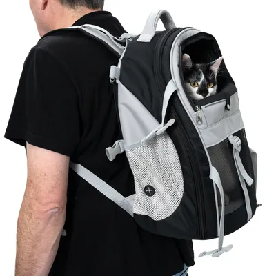 Sac à dos de transport noir et gris porté par une personne, avec un chat noir et blanc visible à l’intérieur. Poches en filet et fermeture éclair apparentes.
