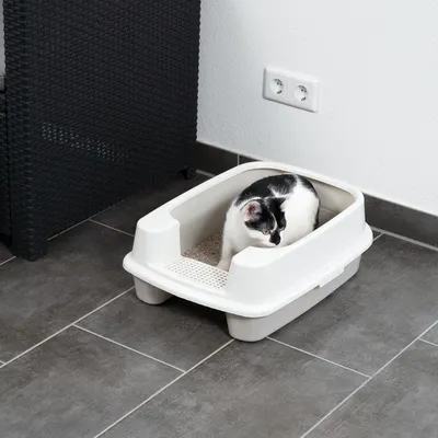 Caja de arena blanca para gatos con entrada y arena, gato sentado dentro. Adecuada para interiores con suelo de baldosas.
