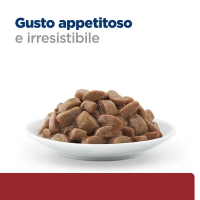Ciotola con bocconcini di cibo umido marrone. Testo visibile: Gusto appetitoso e irresistibile.