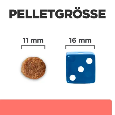 Dimensiune pelete: comparație între o peletă de 11 mm și un cub albastru de 16 mm.