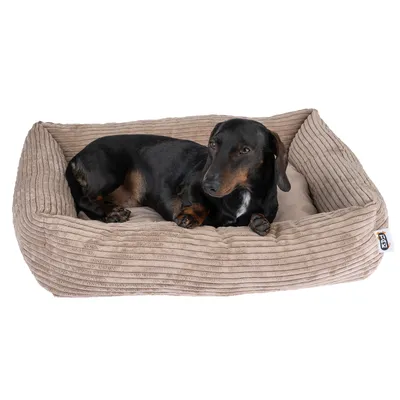 Hund liegt in einem beige gerippten Hundebett mit weicher Polsterung. Markenlogo K&K sichtbar an der Seite des Bettes.