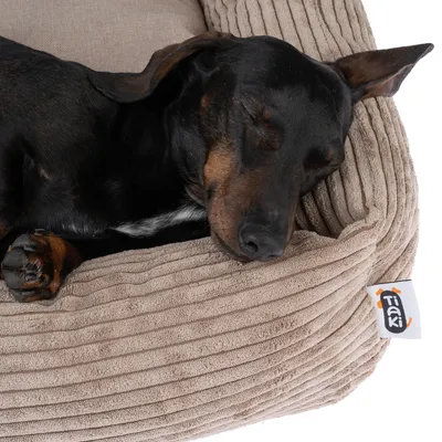 Schlafender Hund in einem beigen Tiaki-Haustierbett mit geripptem Stoff und sichtbarem Tiaki-Logo auf dem Bett.