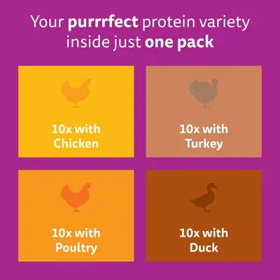 Whiskas Kitten Pouches in Jelly - Poultry Feasts in Jelly (40 x 85g)