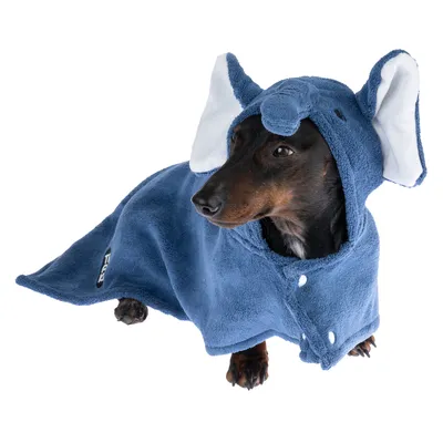 Dog wearing a blue costume with elephant ears and button closure, suitable for pet clothing or costumes.