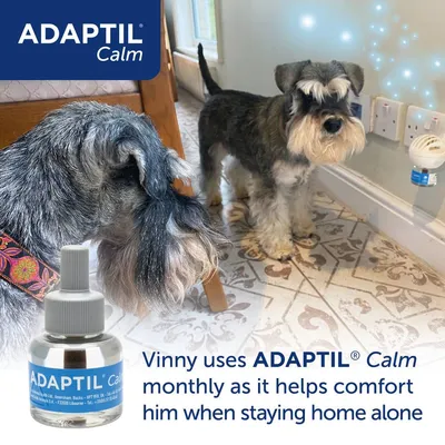 Dog shown near an ADAPTIL Calm diffuser plugged into a wall, with text stating it is used monthly to help comfort the dog when staying home alone.