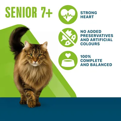 Perfect Fit Senior 7+ Pouches Mixed Pack in Gravy - 12 x 85g Perfect Fit Senior 7+ Pouches Mixed Pack in Gravy - 12 x 85g