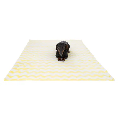 Chien couché sur une grande couverture à motif zigzag jaune et blanc, présentée à plat sur le sol.