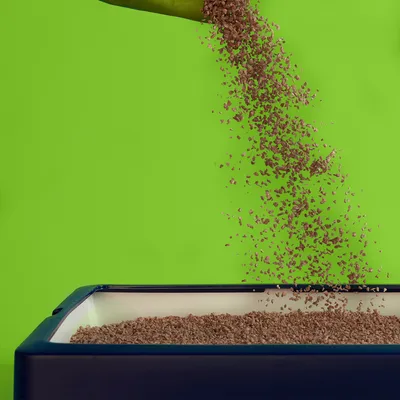 Granules being poured into a rectangular tray, showing how to fill the container with product.