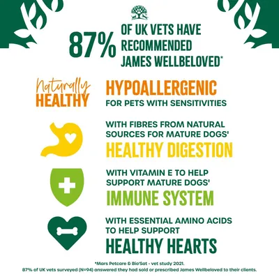 87% of UK vets recommended James Wellbeloved. Hypoallergenic for pets with sensitivities, supports healthy digestion, immune system and hearts in mature dogs. Contains vitamin E and amino acids.