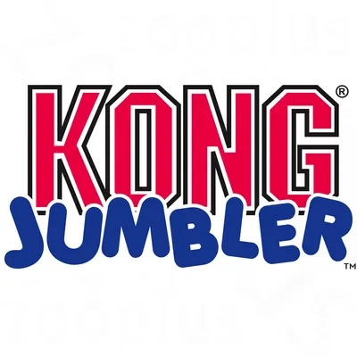 KONG Jumbler. Brand name of pet toy.