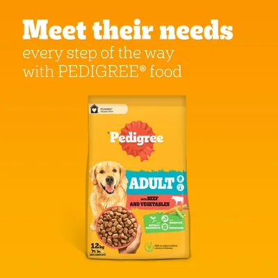 Pedigree Adult Complete with Beef & Vegetables Pedigree Adult Complete with Beef & Vegetables
