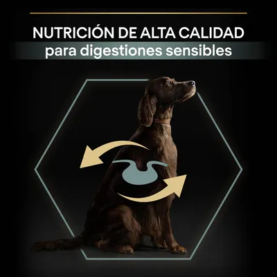 Texto: NUTRICIÓN DE ALTA CALIDAD para digestiones sensibles. Imagen de un perro con icono de estómago y flechas, resaltando el enfoque en la digestión.