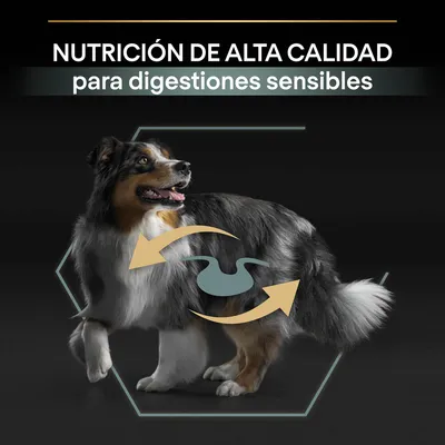 Texto: Nutrición de alta calidad para digestiones sensibles. Imagen de un perro con flechas y símbolo de estómago, destacando el enfoque en la digestión.