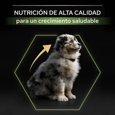 Texto: NUTRICIÓN DE ALTA CALIDAD para un crecimiento saludable. Imagen de un cachorro sentado con una flecha ascendente detrás.
