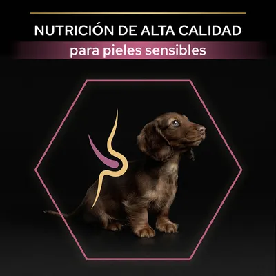 Texto: Nutrición de alta calidad para pieles sensibles. Imagen de un cachorro marrón sentado dentro de un hexágono rosa con gráfico decorativo sobre el lomo.